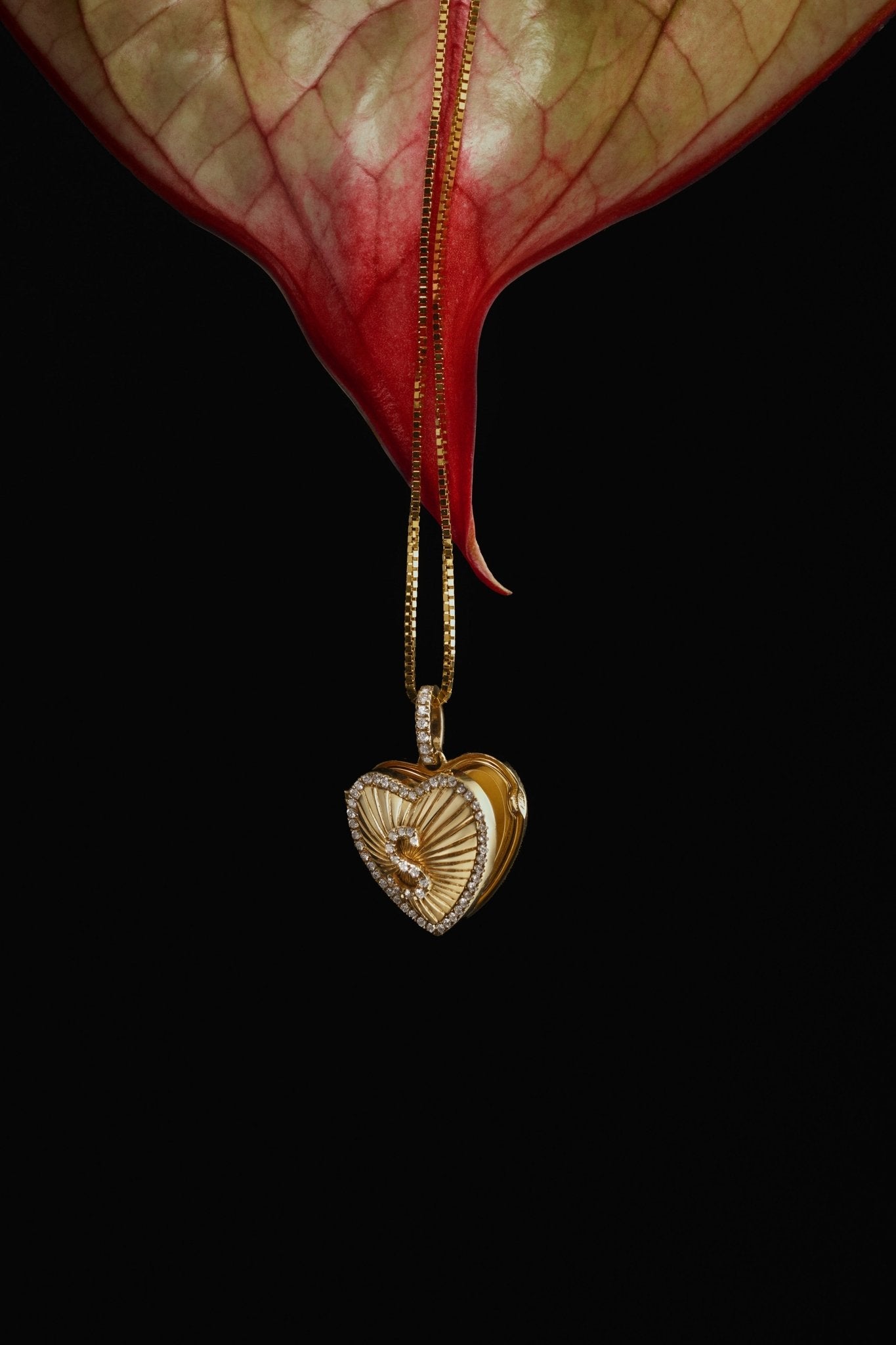 Affection Heart Locket - Image 3